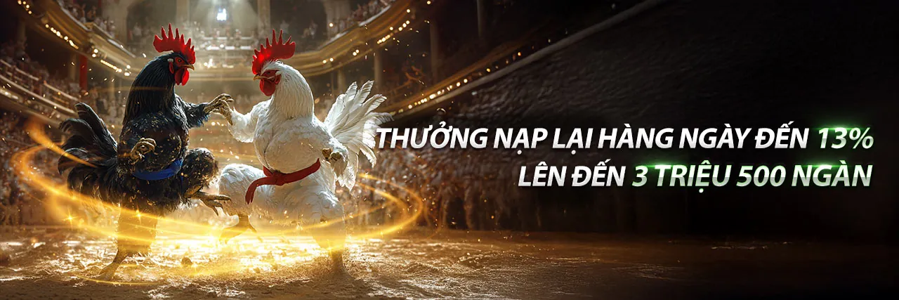 Hình ảnh minh họa Tuân thủ GDPR của i888 link vào